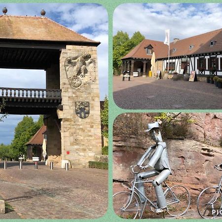 Willkommen In Unserem Kleinen Paradies Venningen Esterno foto