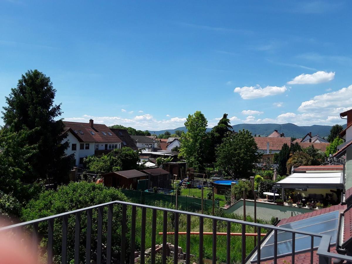 Willkommen In Unserem Kleinen Paradies Venningen Esterno foto