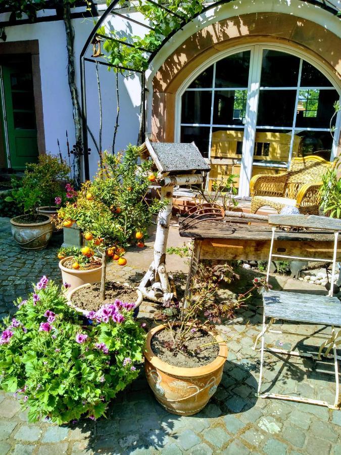 Willkommen In Unserem Kleinen Paradies Venningen Esterno foto