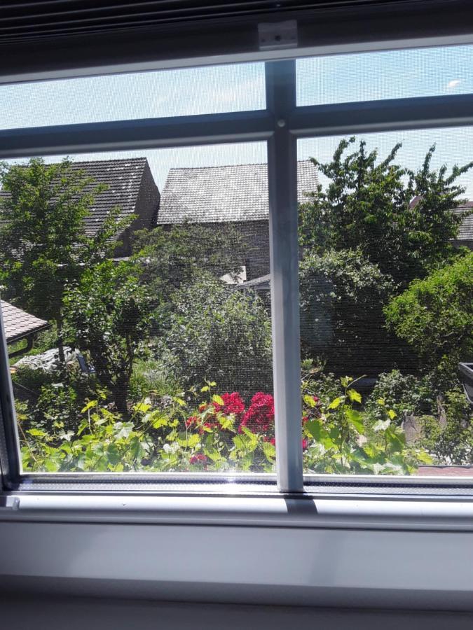 Willkommen In Unserem Kleinen Paradies Venningen Esterno foto