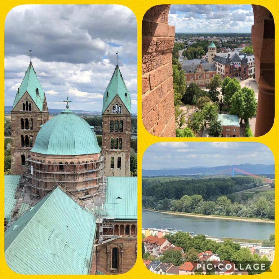 Willkommen In Unserem Kleinen Paradies Venningen Esterno foto