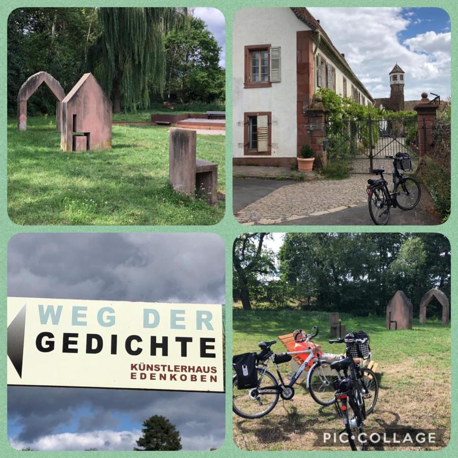 Willkommen In Unserem Kleinen Paradies Venningen Esterno foto